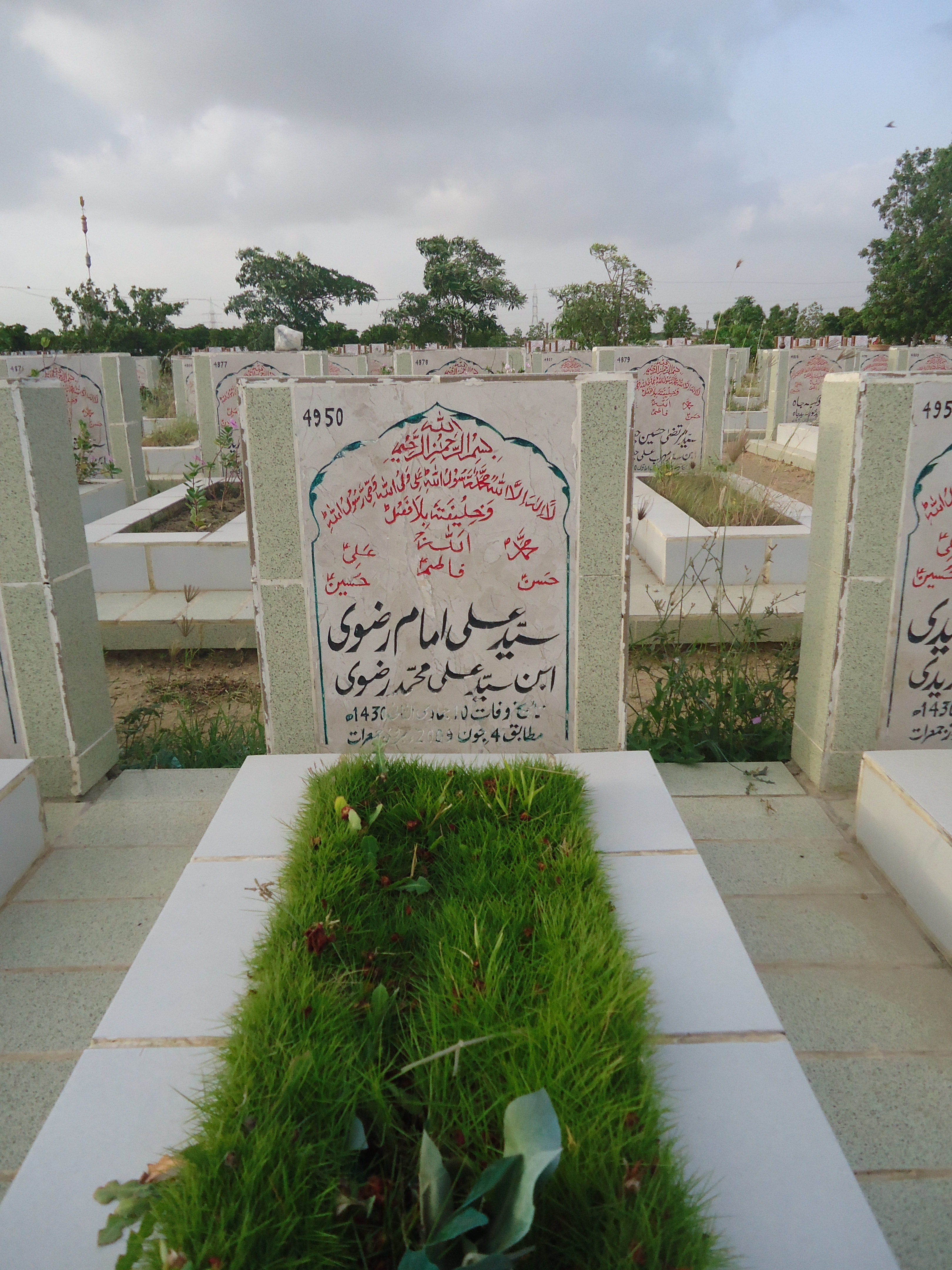 4950 – Syed Ali Imam Rizvi